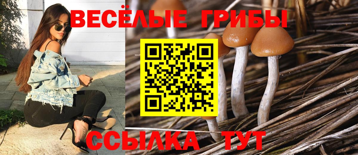 Галлюциногенные грибы GOLDEN TEACHER  Вход с VPN  Обь 